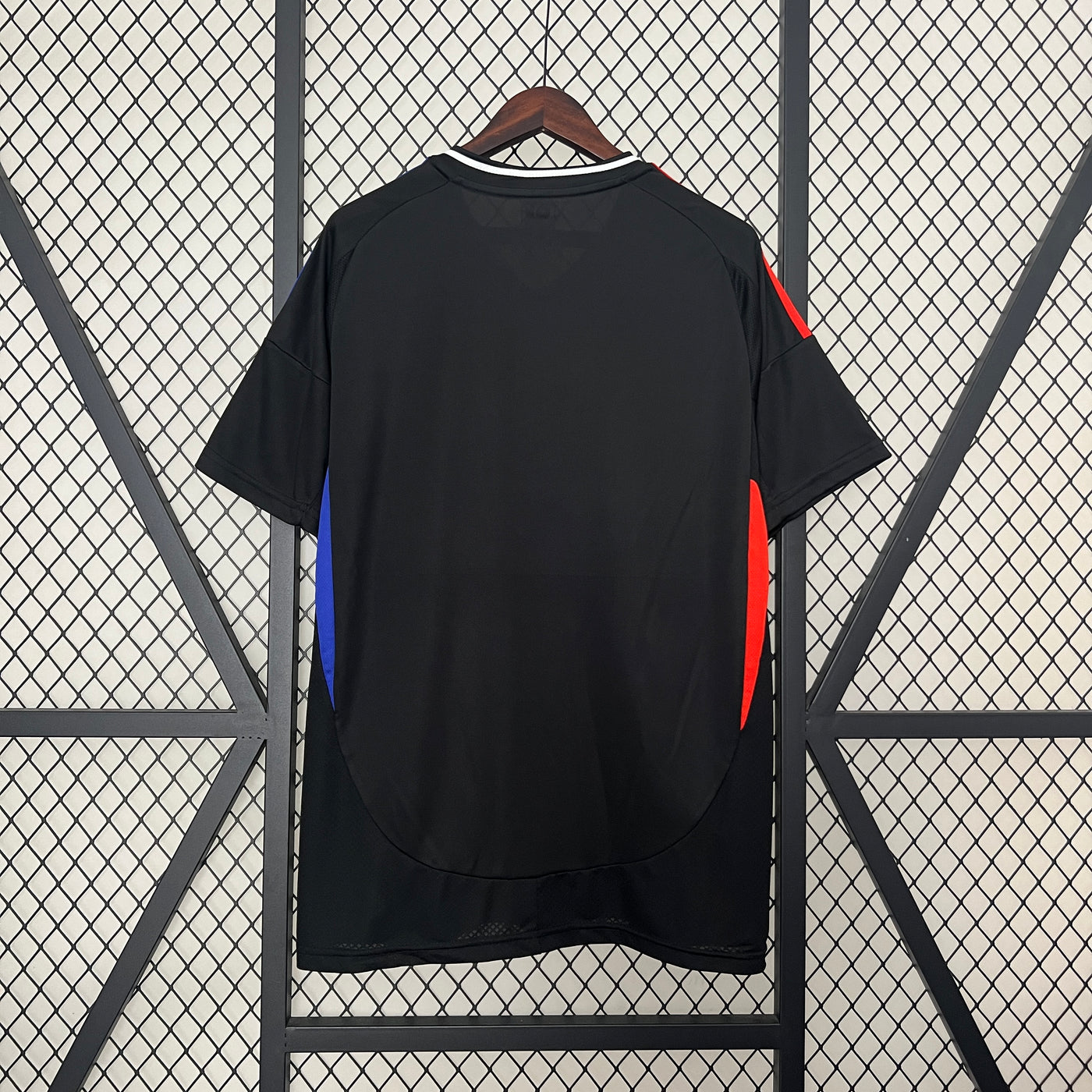 Lyon 24/25 Away (Fan)