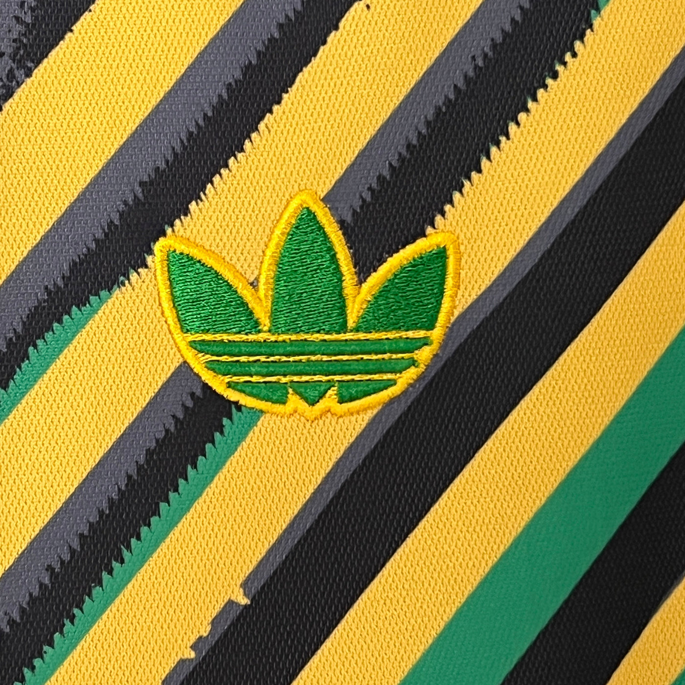 Jamaica 24/25 Training (Fan)