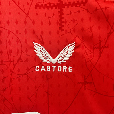 Leverkusen 24/25 Home (Fan)