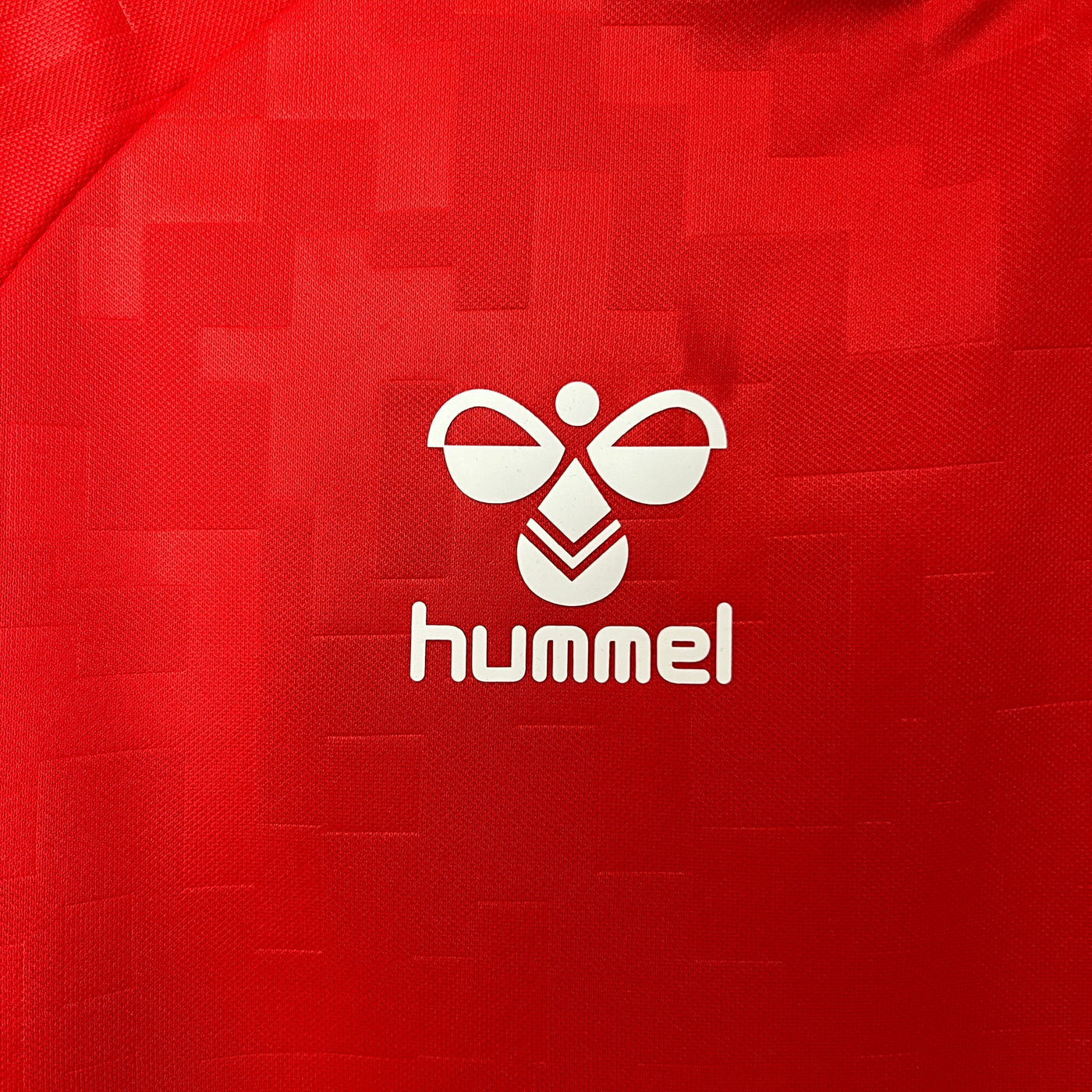 Denmark Euros 24/25 Home (Fan), Detail