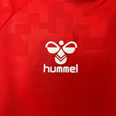 Denmark Euros 24/25 Home (Fan), Detail