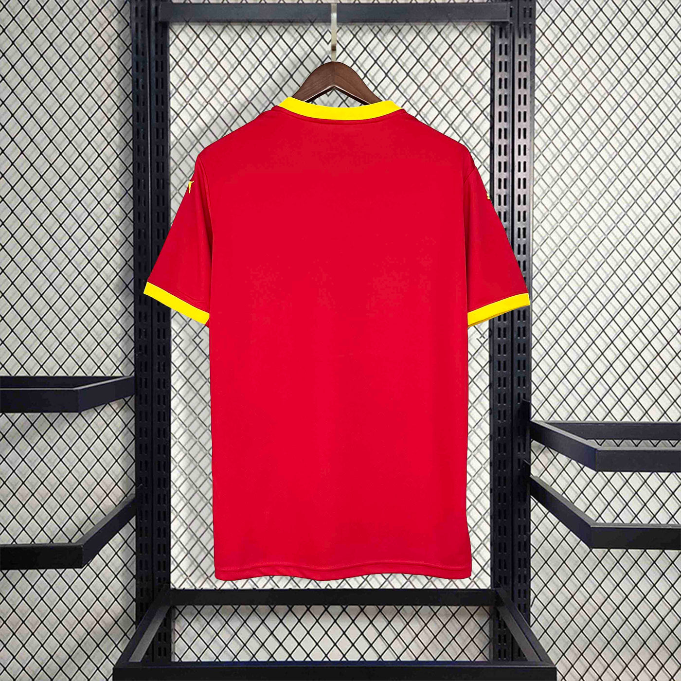 Guinea 24/25 Home (Fan)