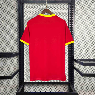 Guinea 24/25 Home (Fan)