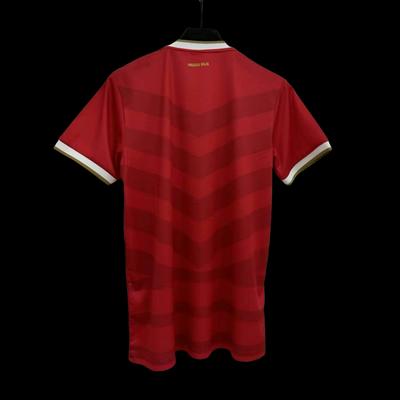 Panama Copa America 24/25 Home (Fan), Back Side