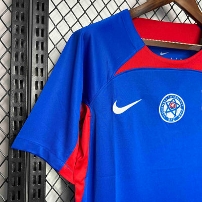 Slovakia Euros 24/25 Home (Fan), Detail