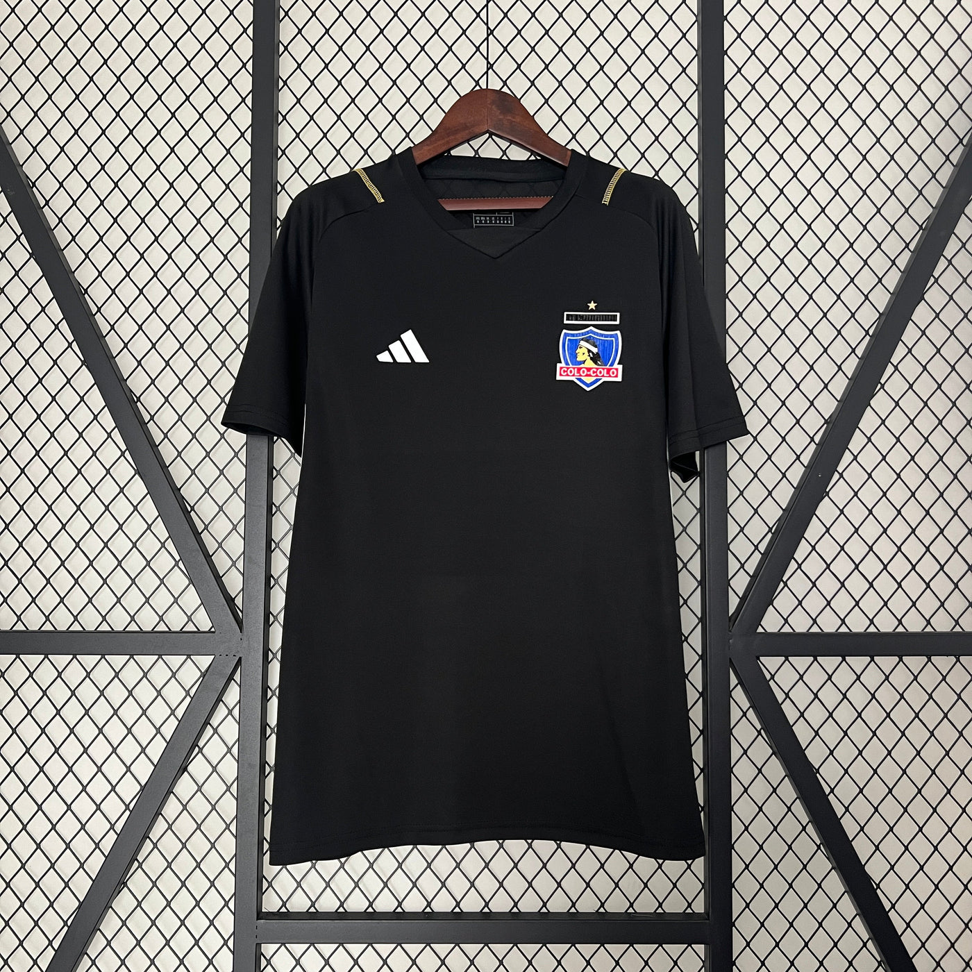 Colo Colo 24/25 Training (Fan)