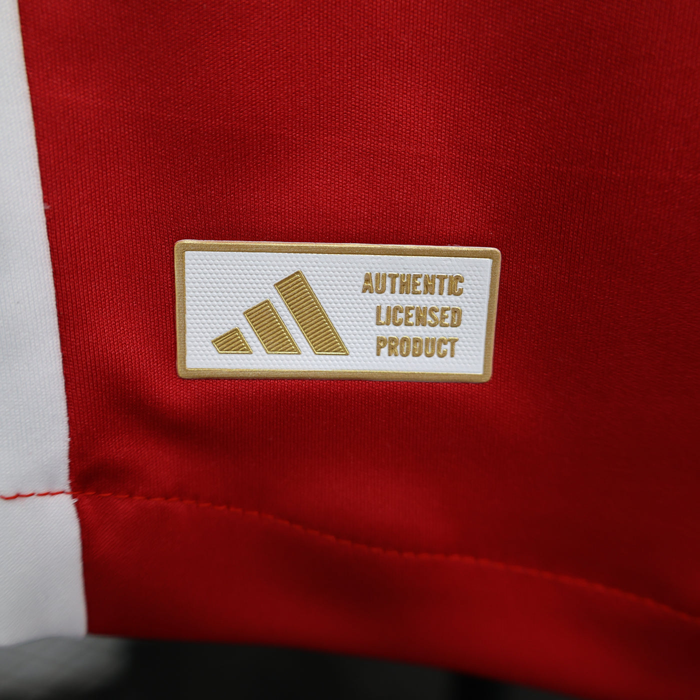 Ajax 24/25 Home (Player)