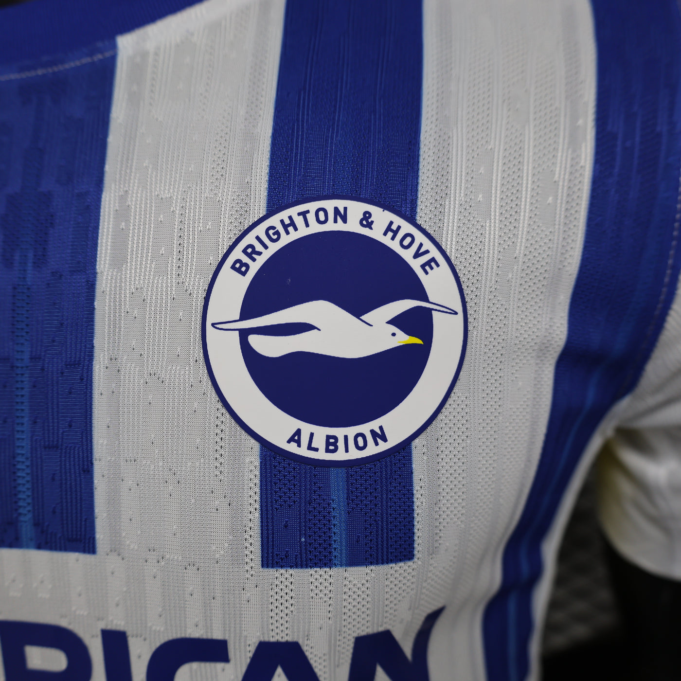Brighton 24/25 Home (Player)