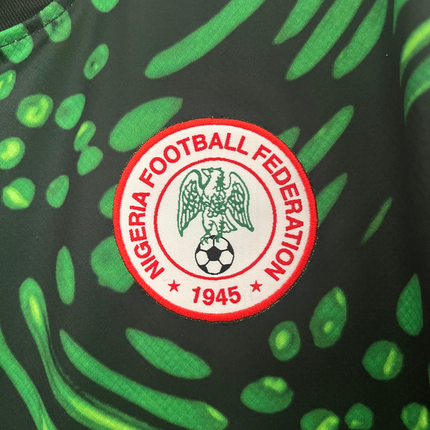 Nigeria 24/25 training (Fan)