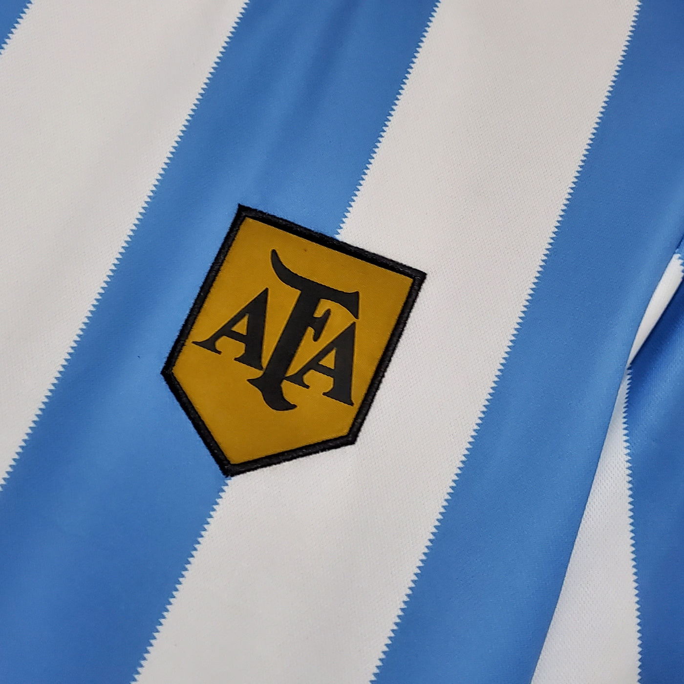 Argentina Retro 1978 Home (Fan)