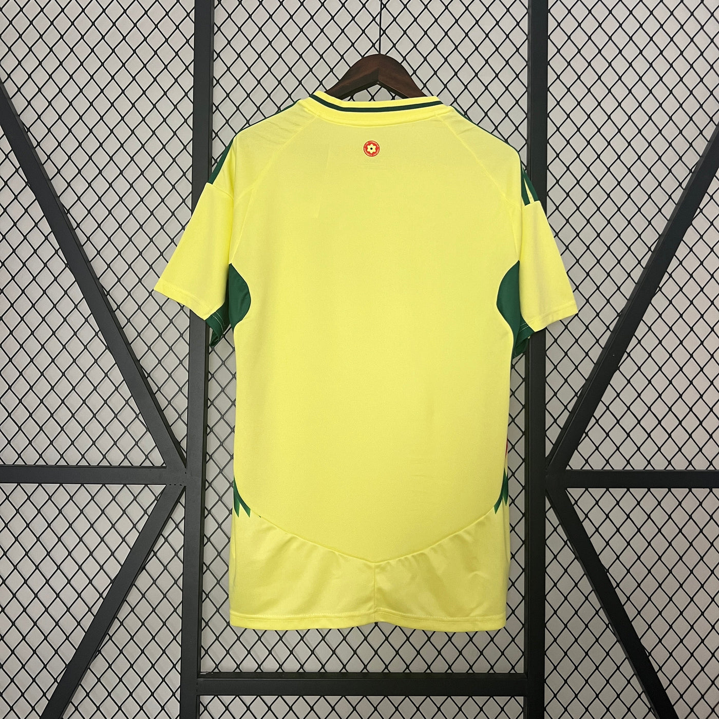 Wales 24/25 Away (Fan)