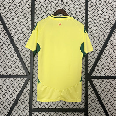 Wales 24/25 Away (Fan)