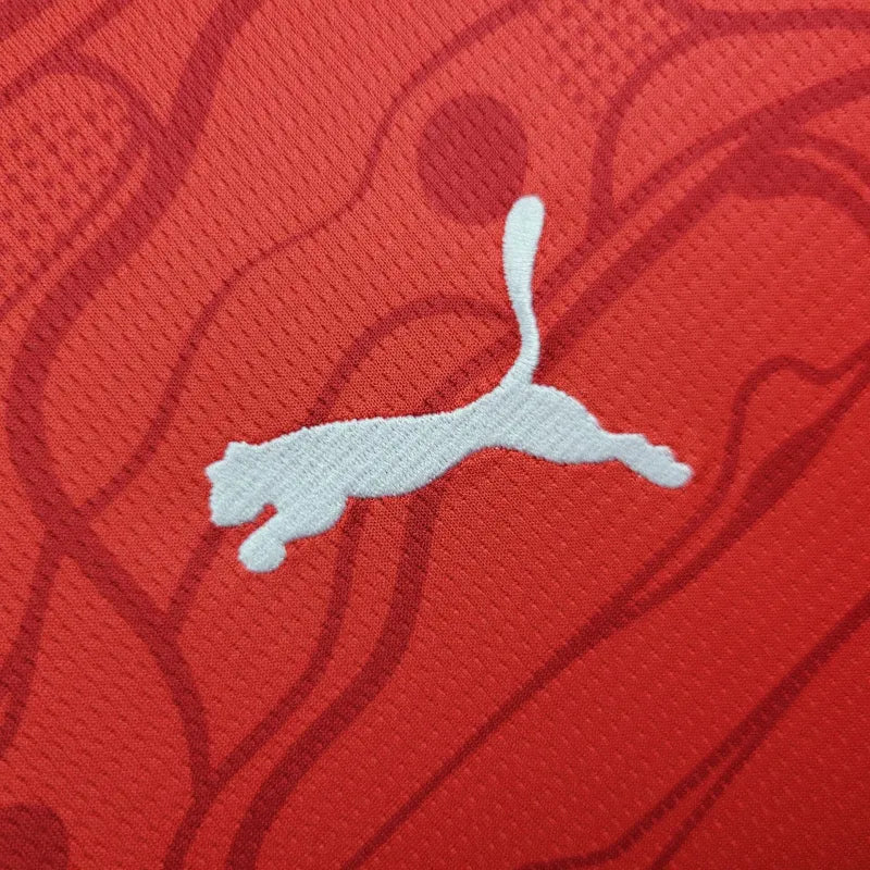 Austria Euros 24/25 Home (Fan), Detail