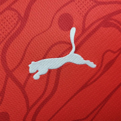 Austria Euros 24/25 Home (Fan), Detail