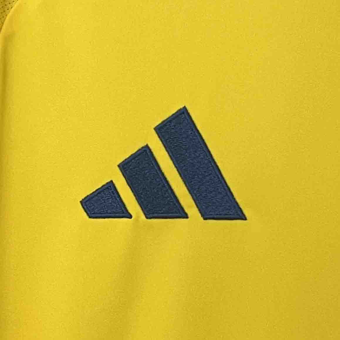 Colombia Copa America 24/25 Home (Fan), Detail