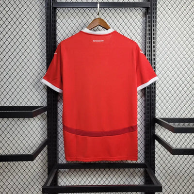 Austria Euros 24/25 Home (Fan), Back Side