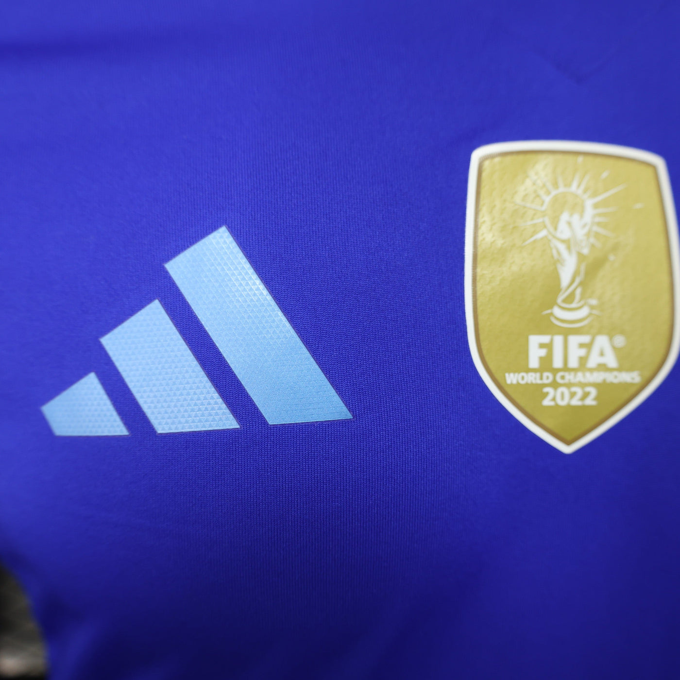 Argentina Copa America 24/25 Away (Player), Detail