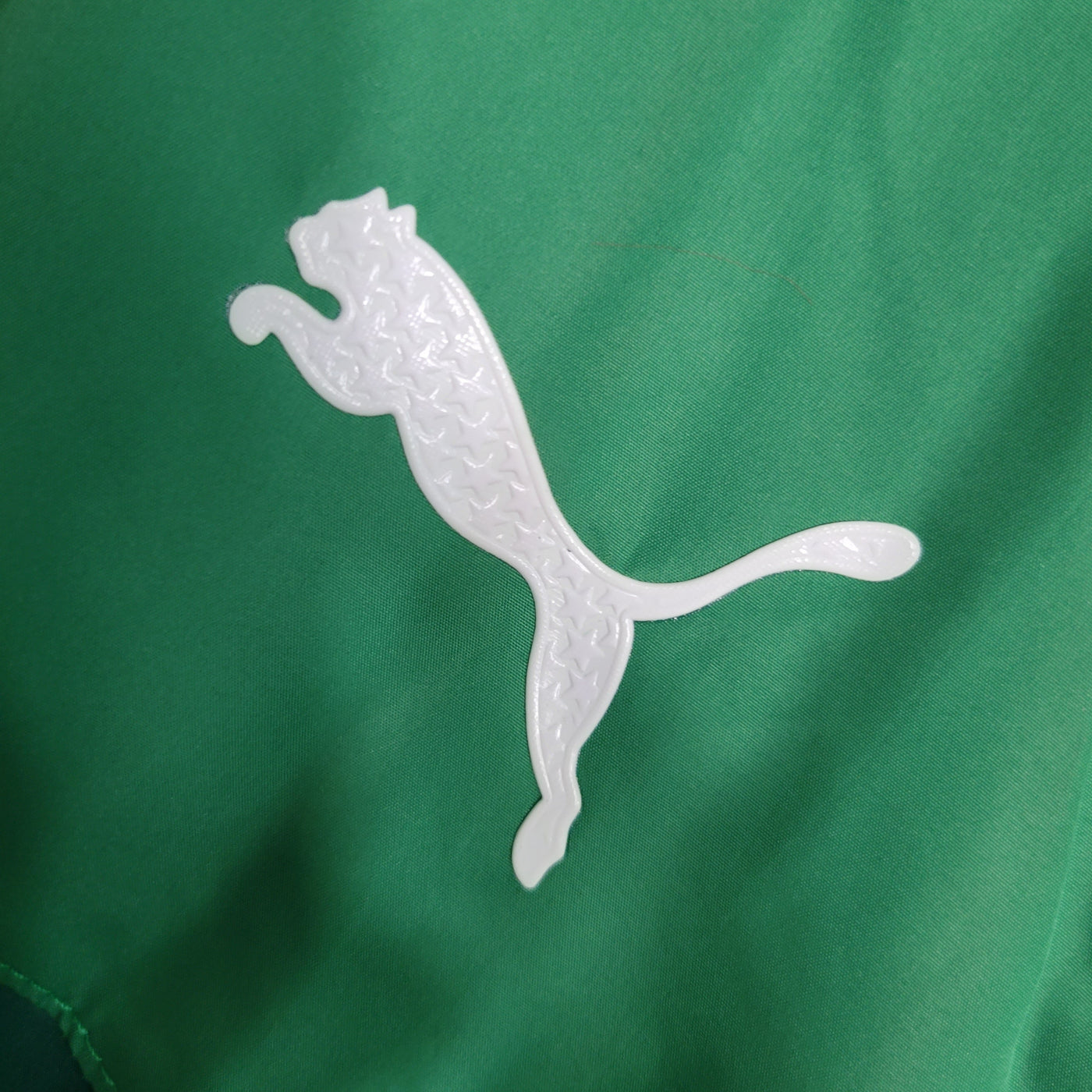 Palmeiras 23/24 Windbreaker