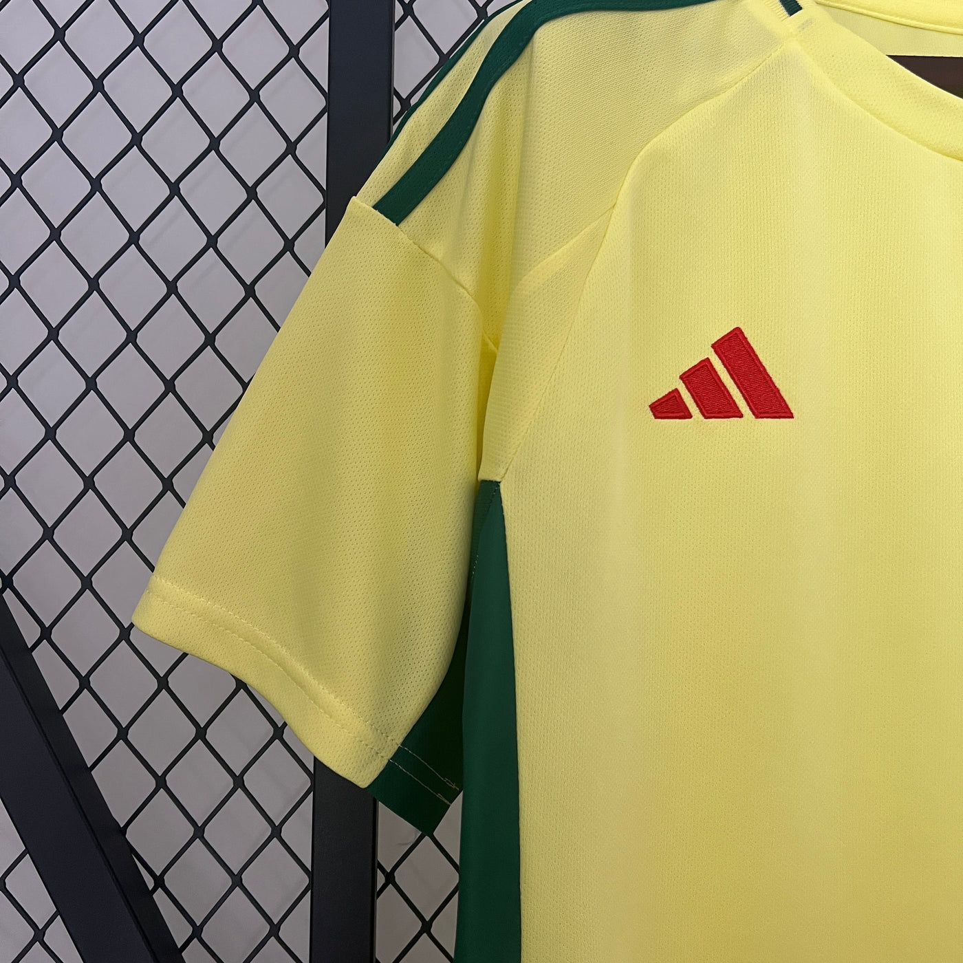 Wales 24/25 Away (Fan)
