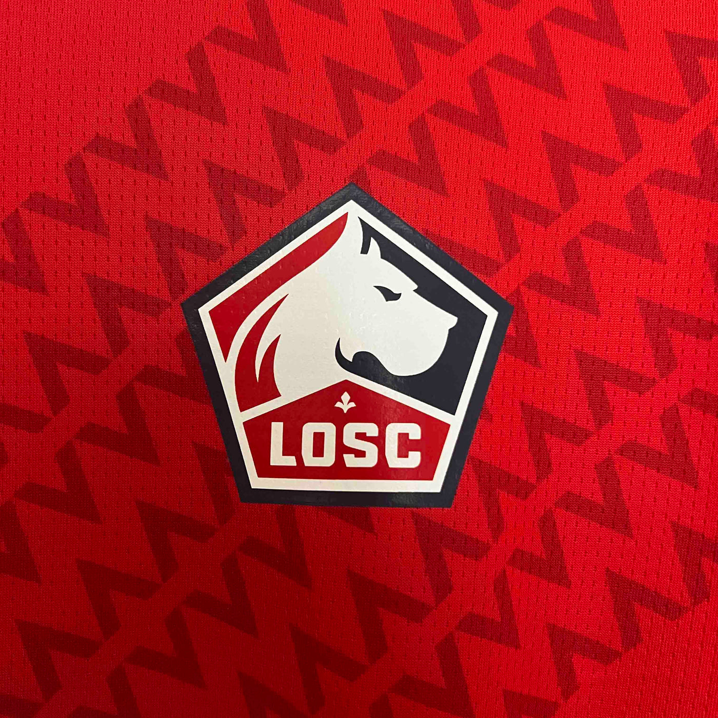 Lille 24/25 Home (Fan)