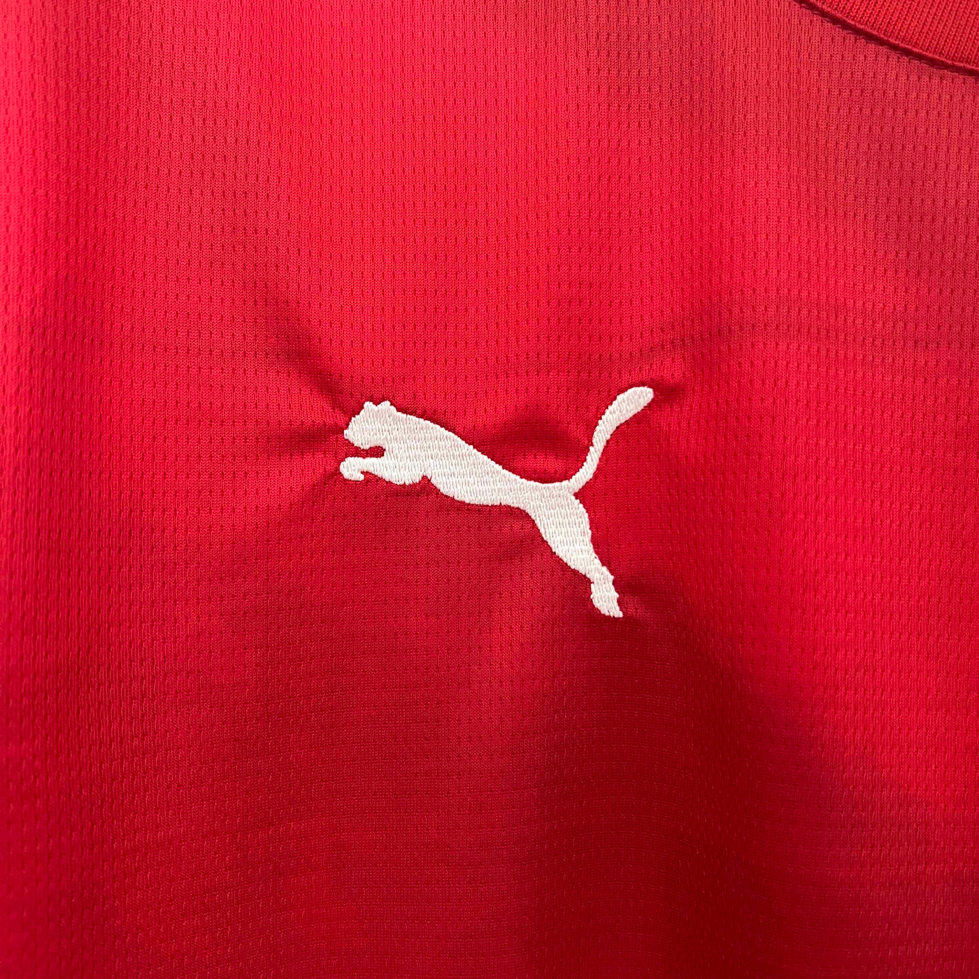 Serbia Euros 24/25 Home (Fan), Detail