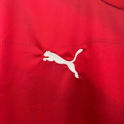 Serbia Euros 24/25 Home (Fan), Detail