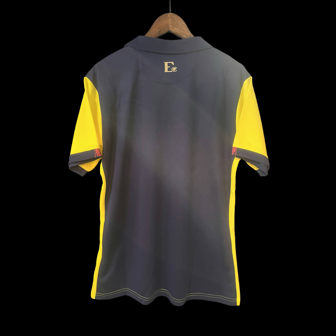Ecuador Copa America 24/25 Home (Fan), Back Side