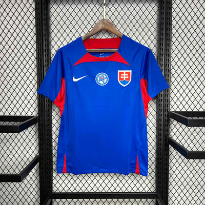 Slovakia Euros 24/25 Home (Fan), Back Side