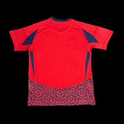 Costa Rica Copa America 24/25 Home (Fan), Back Side