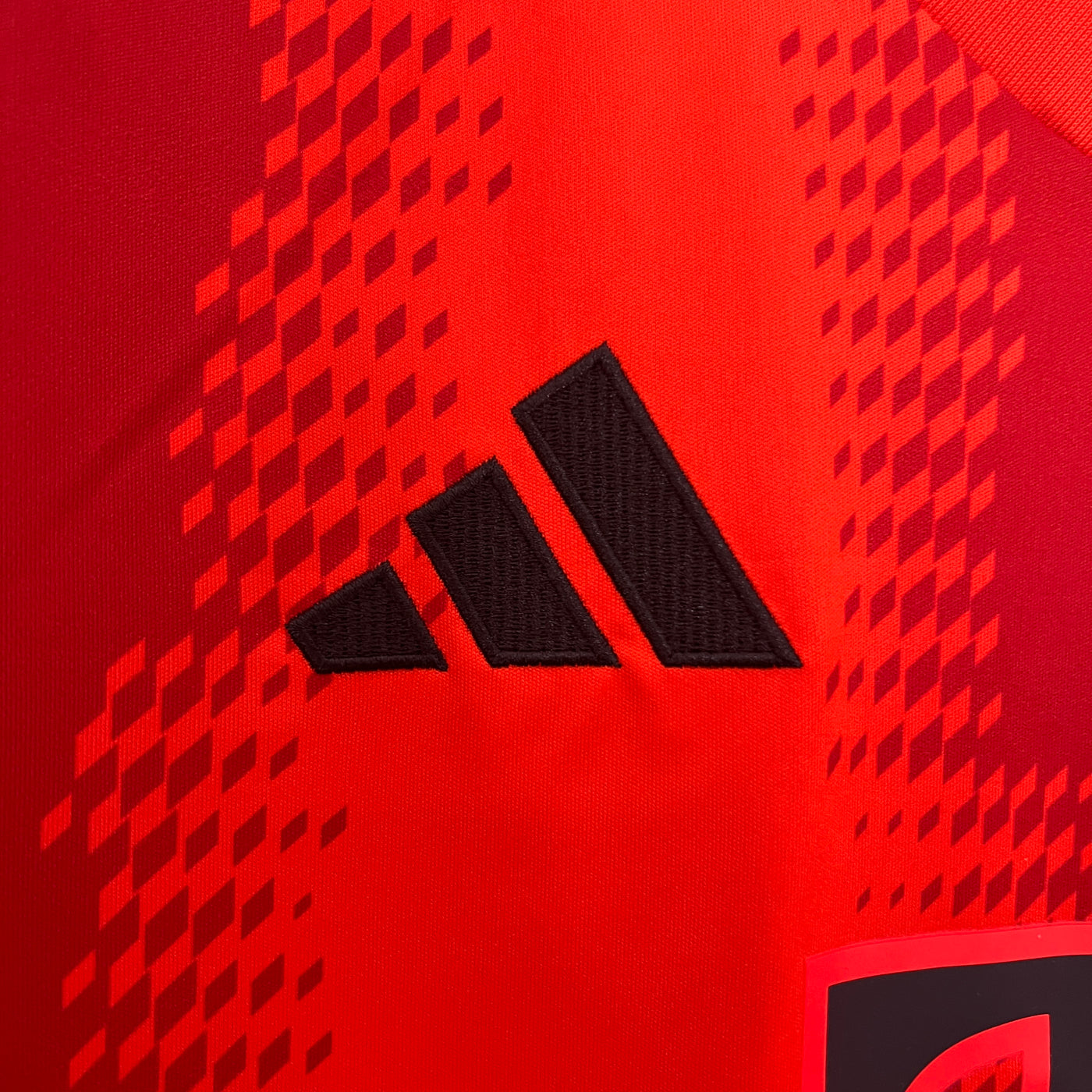 Bayern Munich 24/25 Home (Fan)