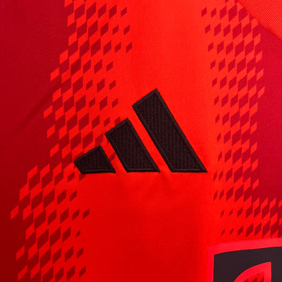 Bayern Munich 24/25 Home (Fan)
