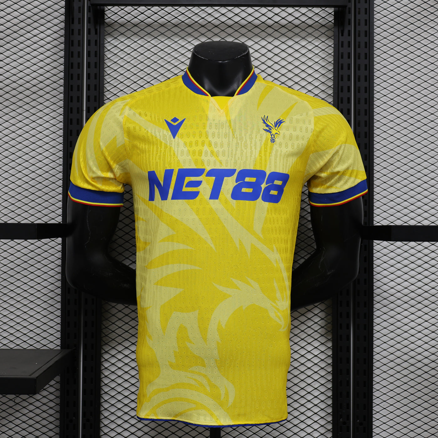 Crystal Palace 24/25 Away (Player)