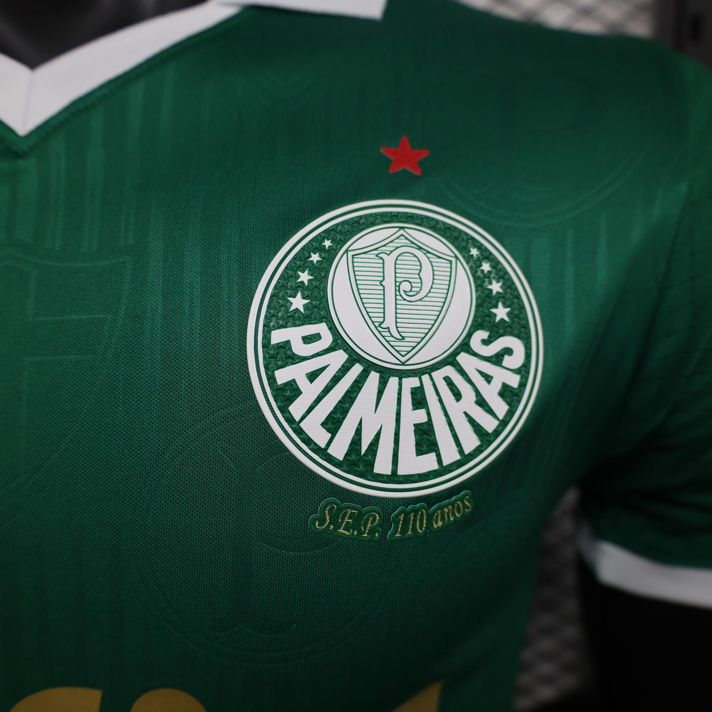 Palmeiras 24/25 Home (Player)
