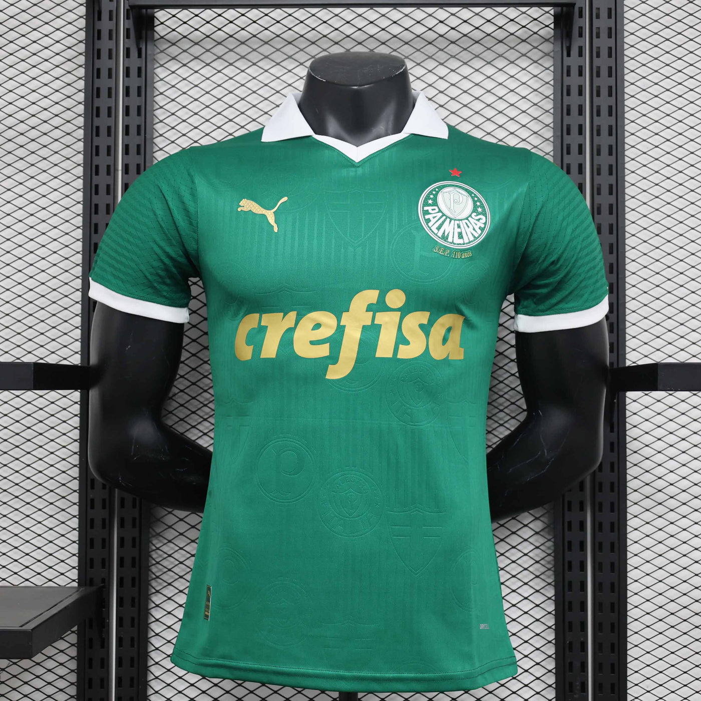 Palmeiras 24/25 Home (Player)