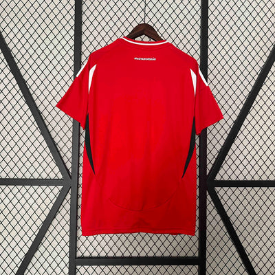 Hungary Euros 24/25 Home (Fan), Back Side