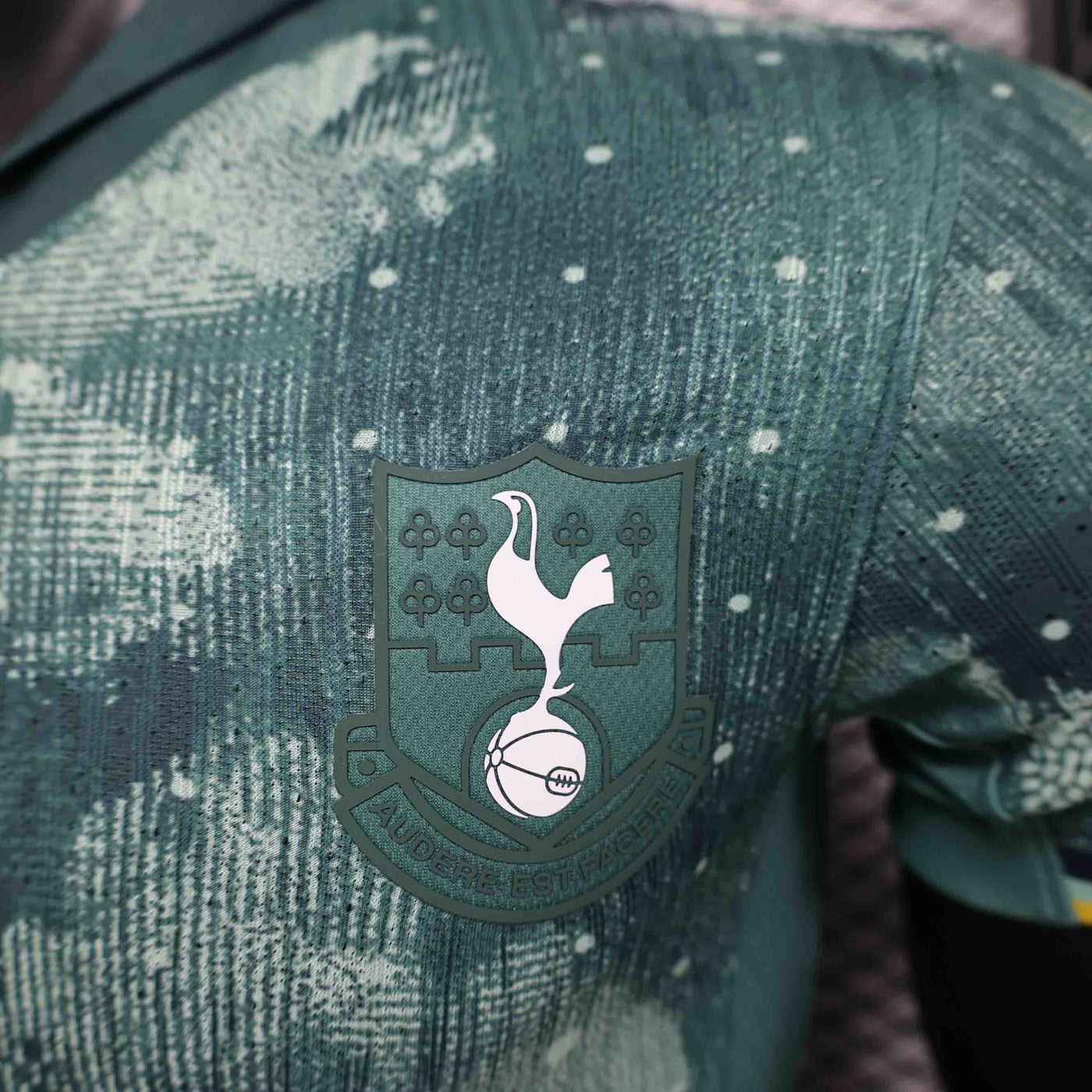 Tottenham 24/25 Third Kit (Player)