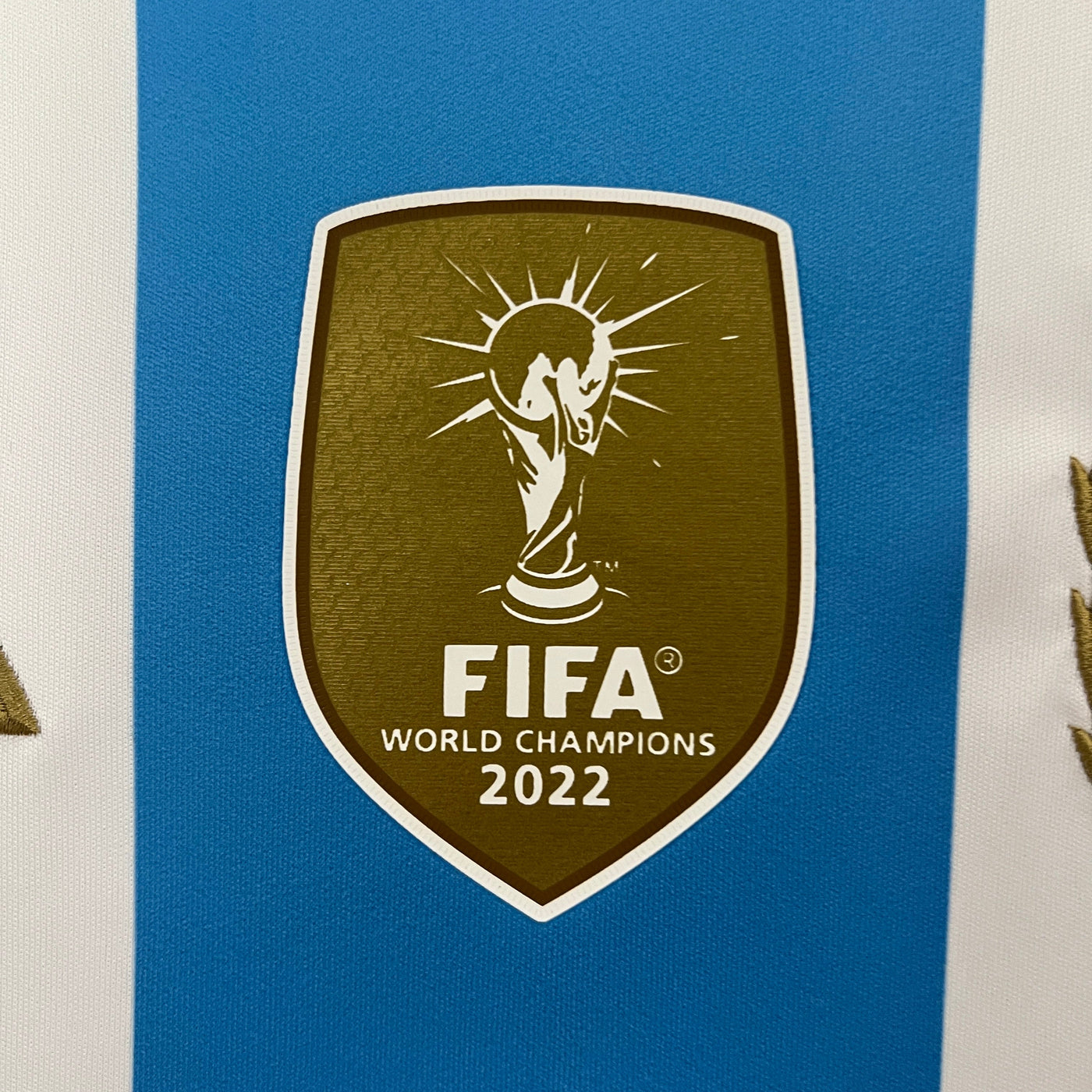 Argentina Copa America 24/25 Home (Fan), Close-Up