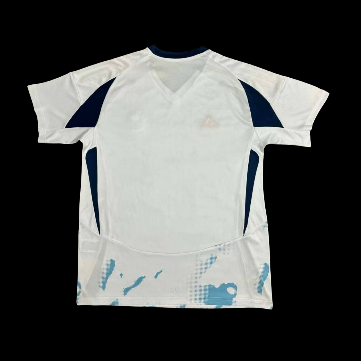 Costa Rica Copa America 24/25 Away (Fan), Back Side