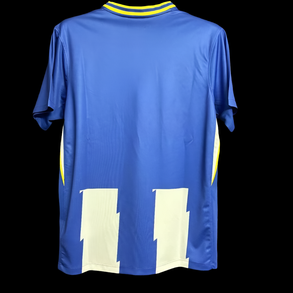 Brighton 24/25 Home (Fan)