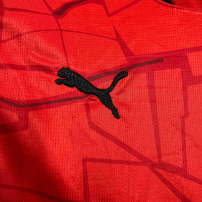 Rennais 24/25 Home (Fan)