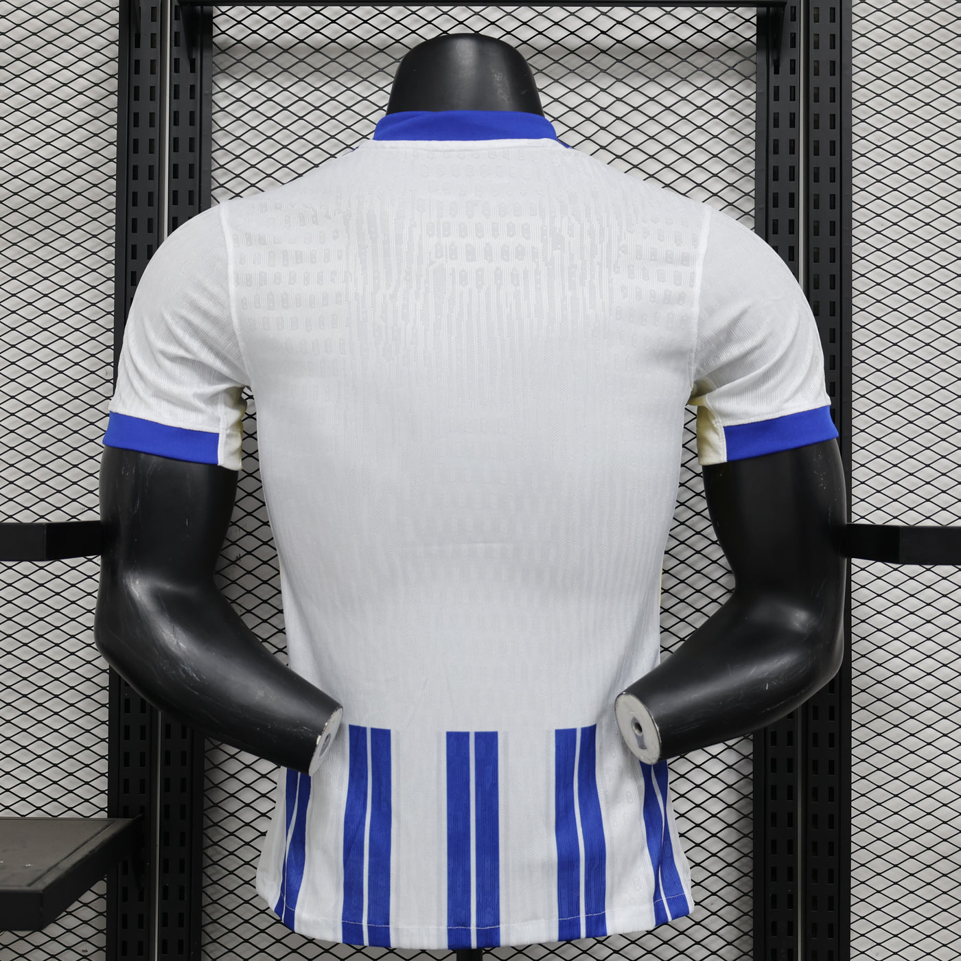 Brighton 24/25 Home (Player)