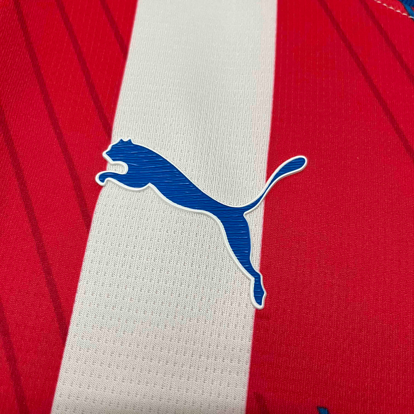 Paraguay Copa America 24/25 Home (Fan), Detail