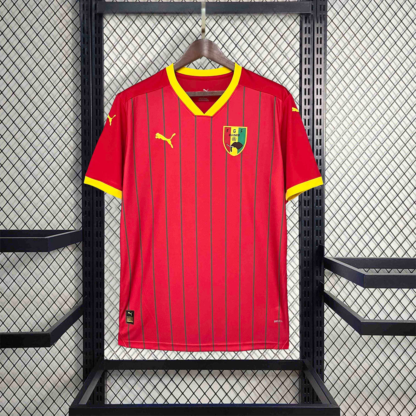 Guinea 24/25 Home (Fan)
