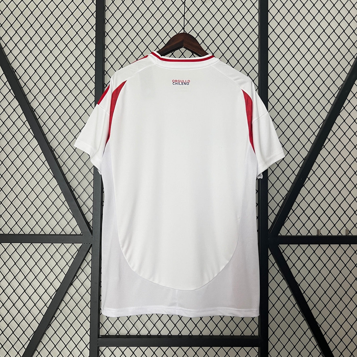 Chile Copa America 24/25 Away (Fan), Back Side