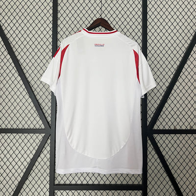 Chile Copa America 24/25 Away (Fan), Back Side