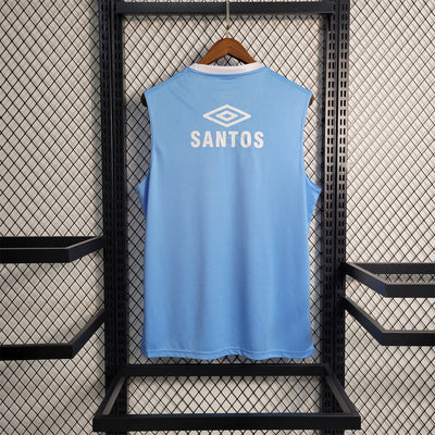 Santos 23/24 Training Vest (Fan)