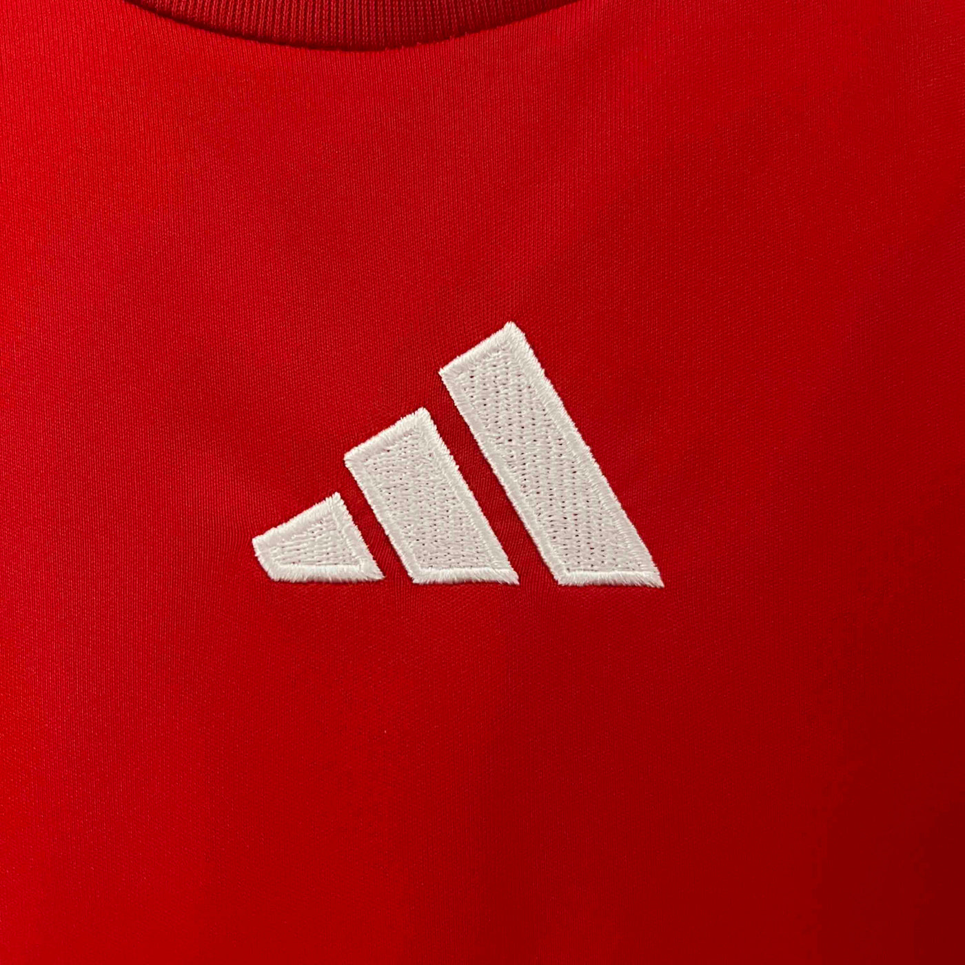 Hungary Euros 24/25 Home (Fan), Detail