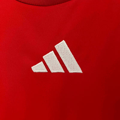 Hungary Euros 24/25 Home (Fan), Detail