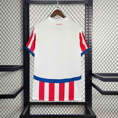 Paraguay Copa America 24/25 Home (Fan), Back Side