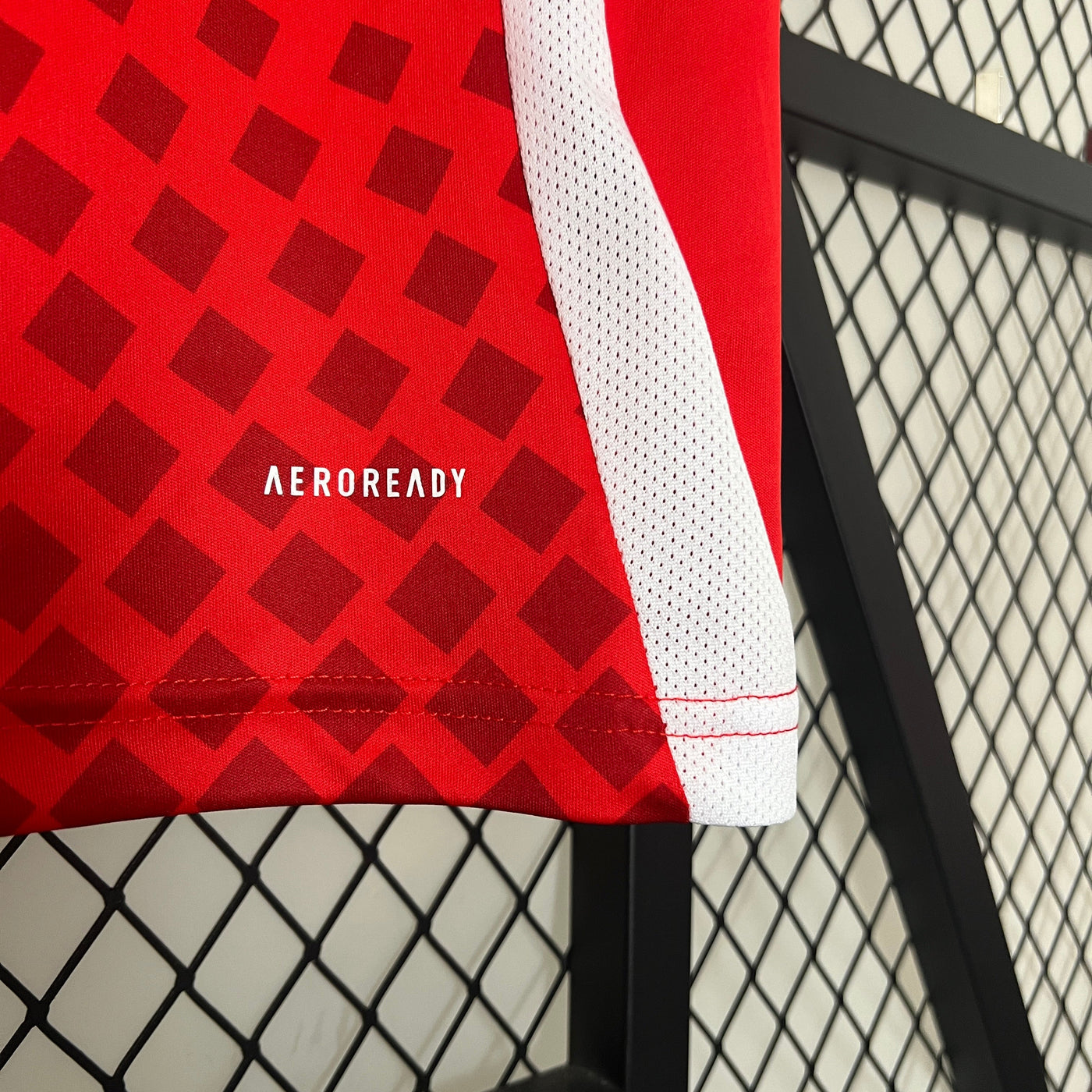 Chile Copa America 24/25 Home (Fan), Close-Up